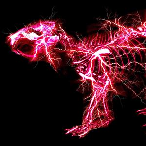 久久无码国产精品
