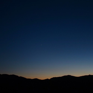 久久无码国产精品
