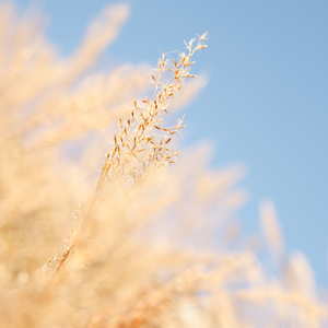 久久无码国产精品
